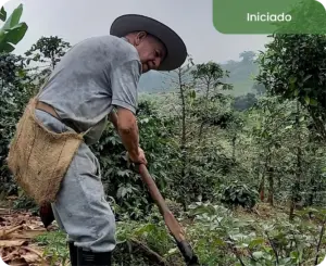 ttf-imagenes-co-huila